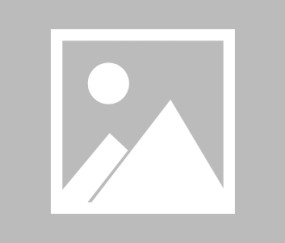 开云真人平台 -极限挑战86