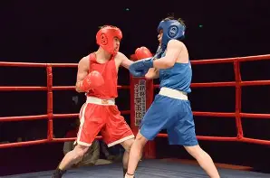  拳击夜战：东海银狐队大胜燕山猎隼队，临门一脚致胜二次进攻频频奏效