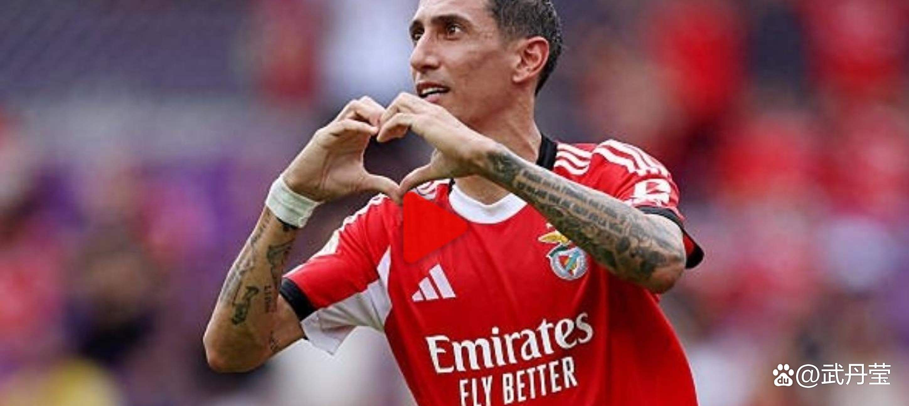 包含本菲卡清晨临场应变,志在国王杯名次提升,气氛紧张,团队化学反应显著的词条 包含本菲卡清晨临场应变,志在国王杯名次提升,气氛紧张,团队化学反应显著的词条